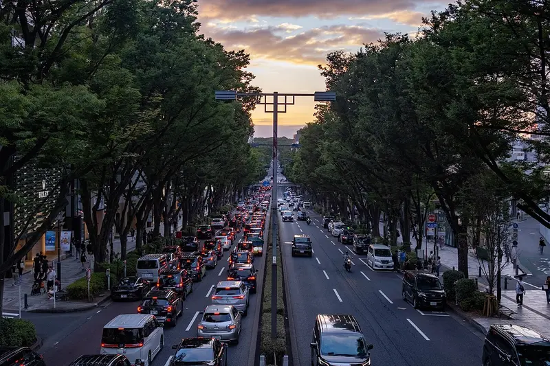 Đại lộ Omotesando hai hàng zelkova lúc hoàng hôn