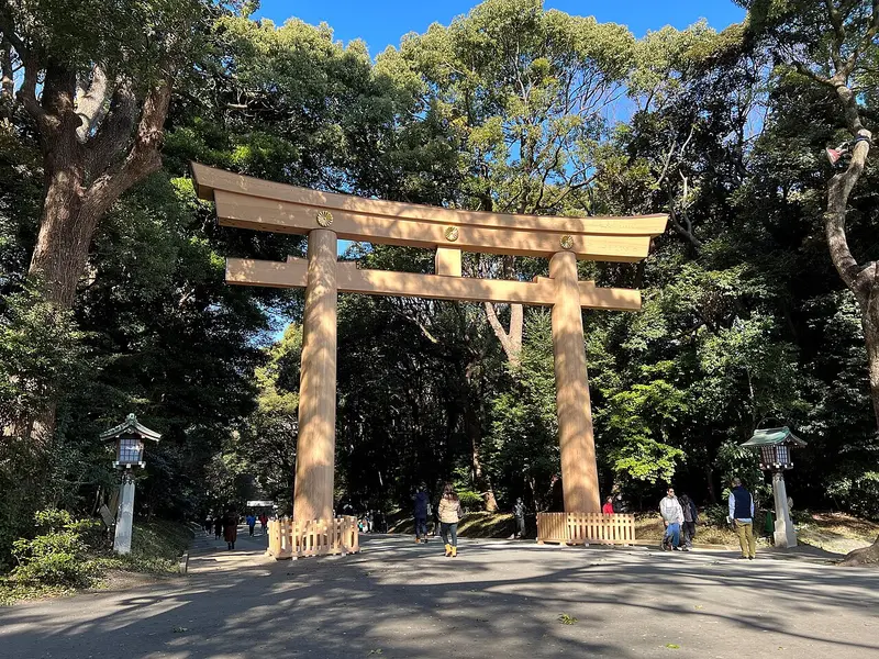 Torii gỗ lớn dưới tán rừng